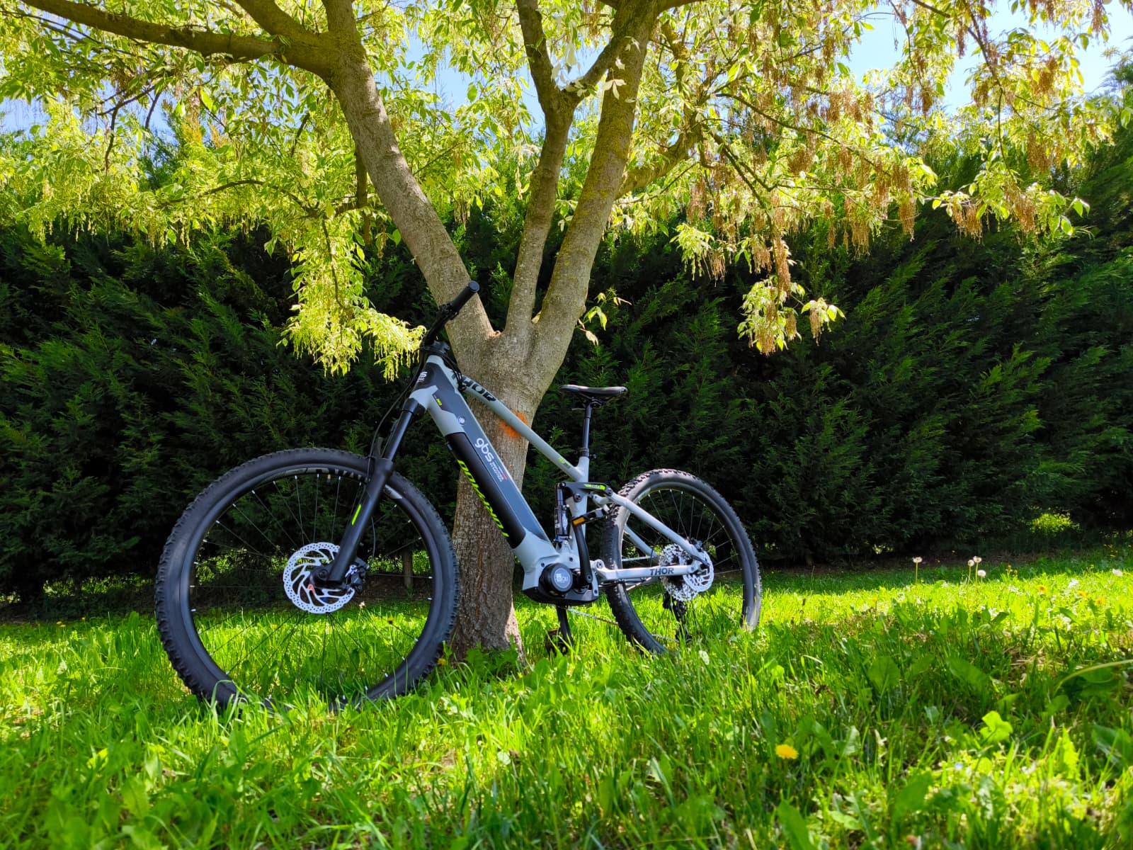 E-bike nella natura